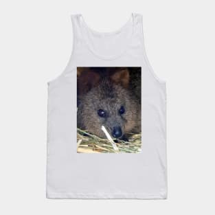 Quokka Tank Top